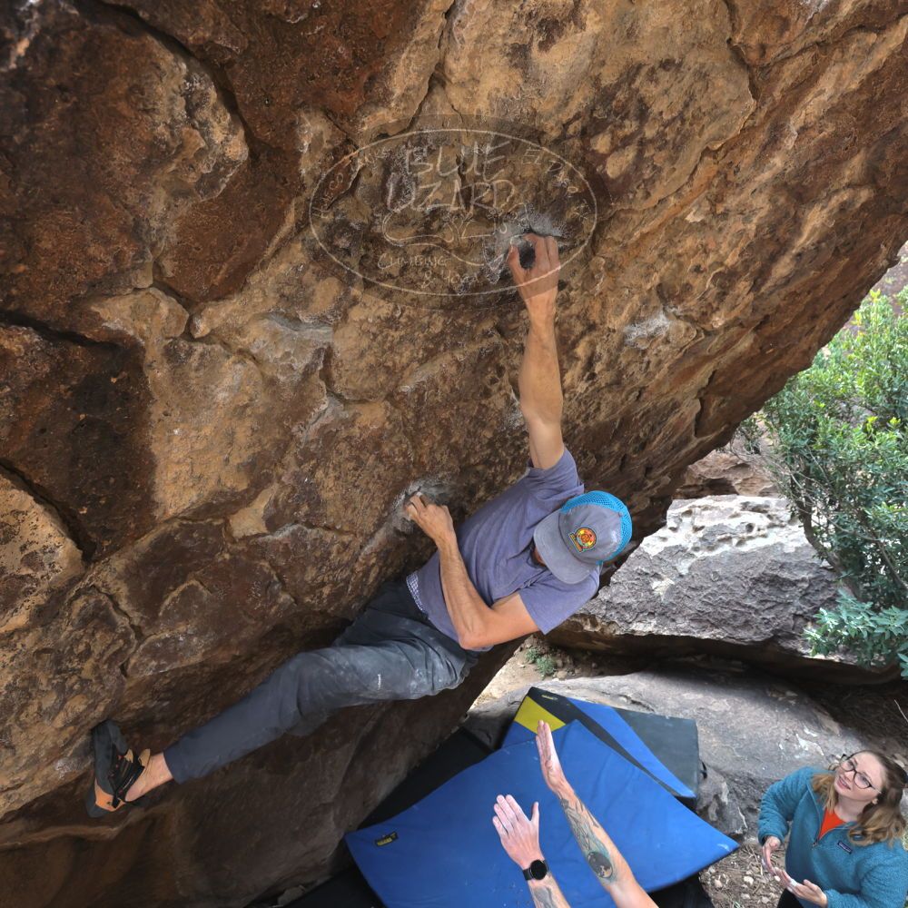 Filename: SRM_20221204_1137090.jpg
Aperture: f/5.6
Shutter Speed: 1/400
Body: Canon EOS R6
Lens: Canon EF 16-35mm f/2.8 L