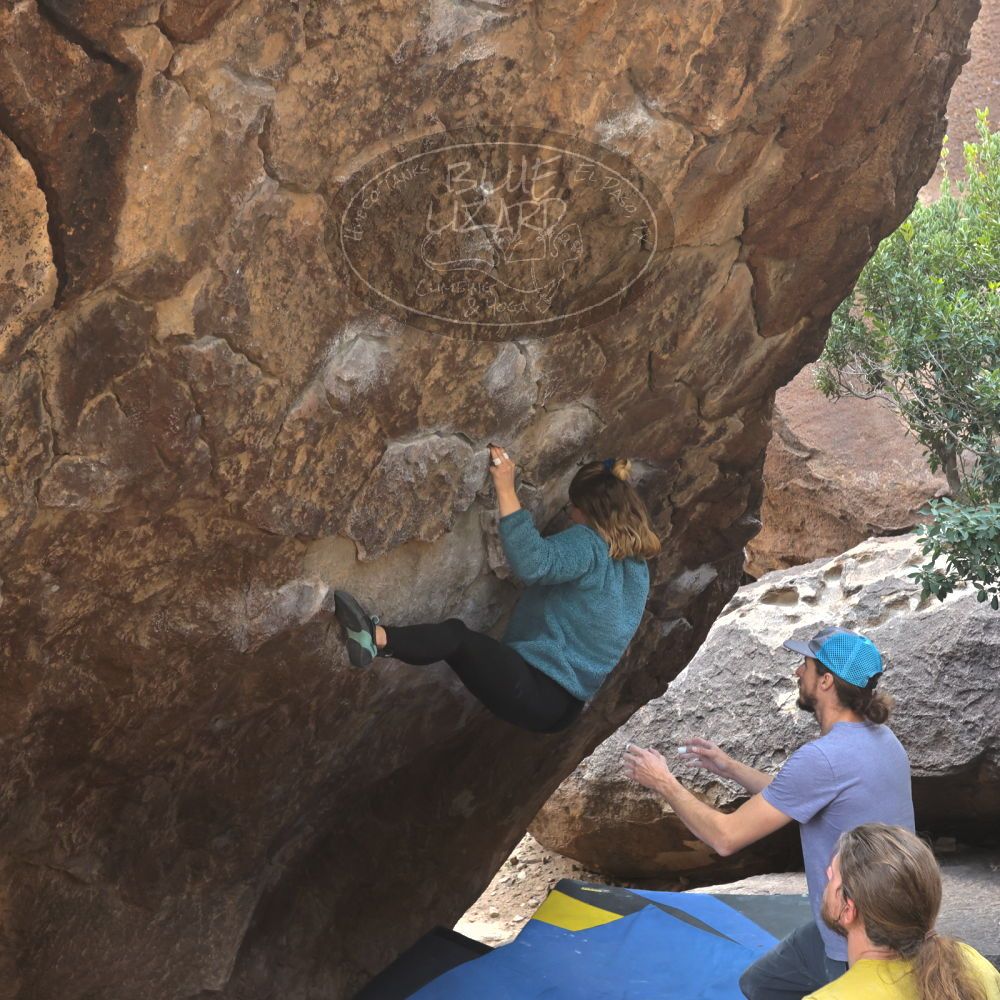 

Filename: SRM_20221204_1139361.jpg
Aperture: f/5.6
Shutter Speed: 1/400
Body: Canon EOS R6
Lens: Canon EF 16-35mm f/2.8 L