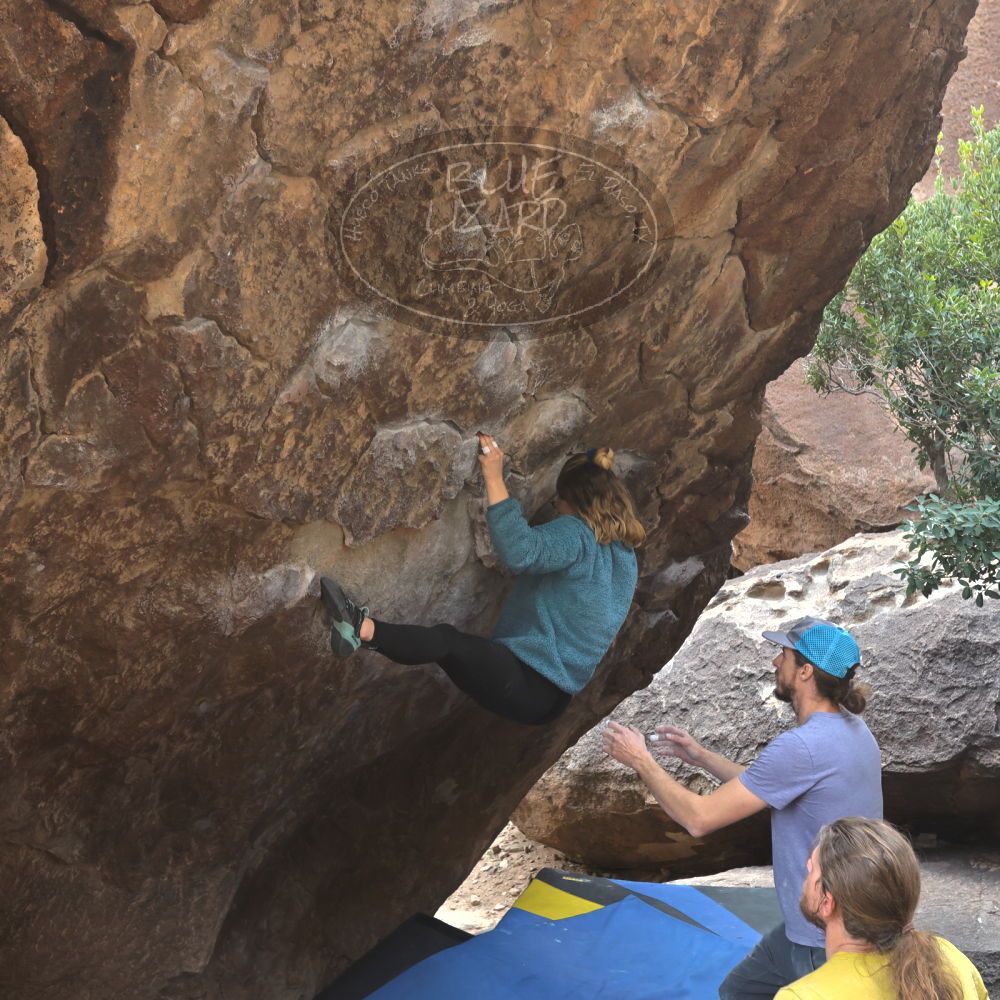 Filename: SRM_20221204_1139362.jpg
Aperture: f/5.6
Shutter Speed: 1/400
Body: Canon EOS R6
Lens: Canon EF 16-35mm f/2.8 L