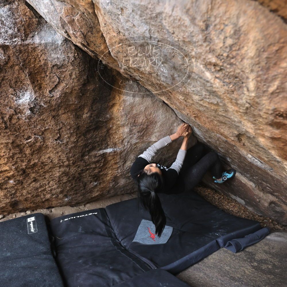 Filename: SRM_20221204_1146210.jpg
Aperture: f/5.6
Shutter Speed: 1/400
Body: Canon EOS R6
Lens: Canon EF 16-35mm f/2.8 L