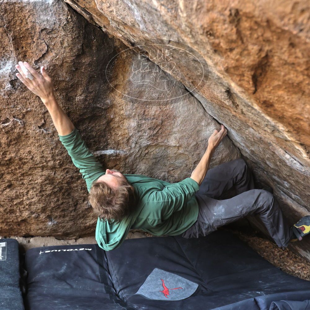 Filename: SRM_20221204_1149460.jpg
Aperture: f/5.6
Shutter Speed: 1/400
Body: Canon EOS R6
Lens: Canon EF 16-35mm f/2.8 L