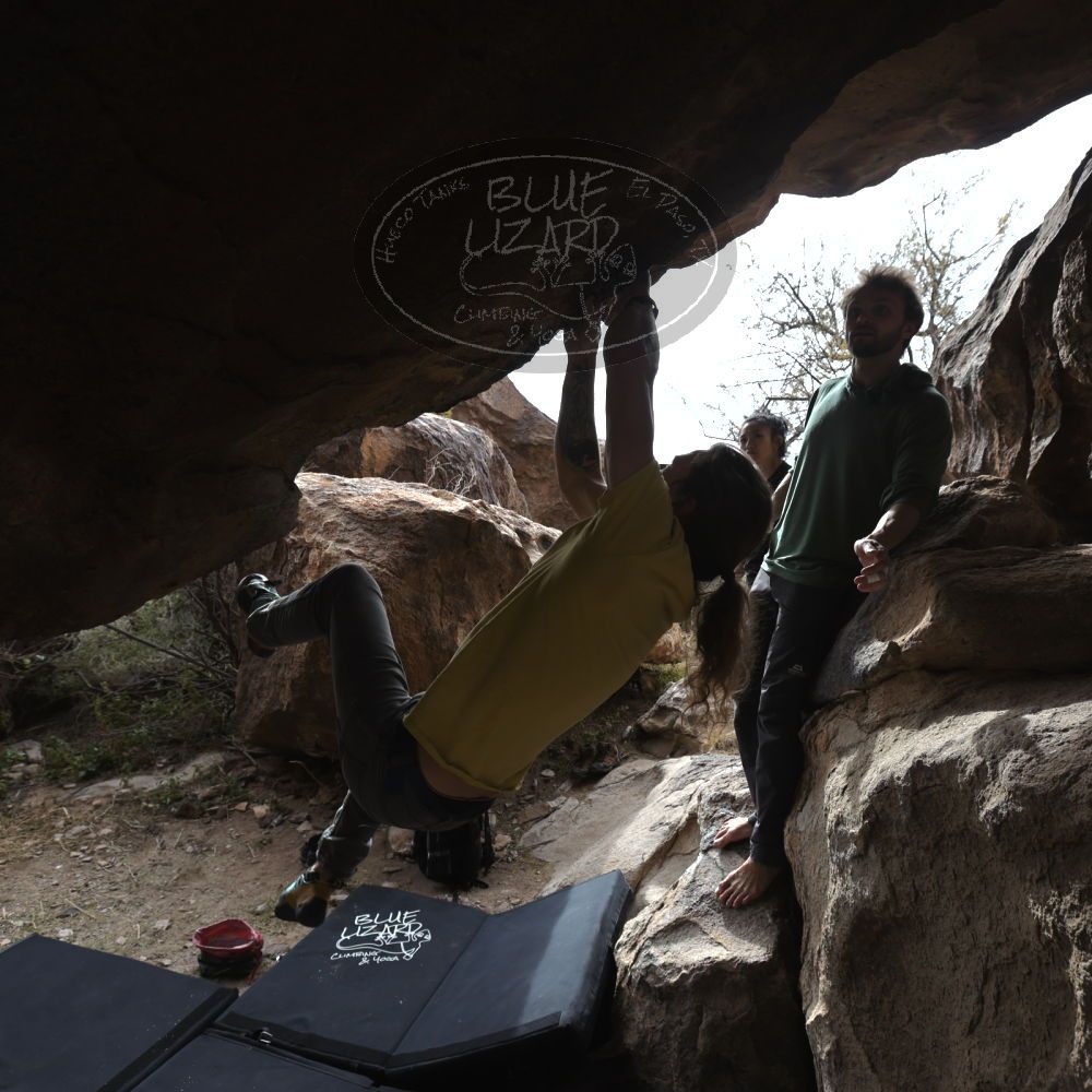 

Filename: SRM_20221204_1212560.jpg
Aperture: f/5.6
Shutter Speed: 1/400
Body: Canon EOS R6
Lens: Canon EF 16-35mm f/2.8 L