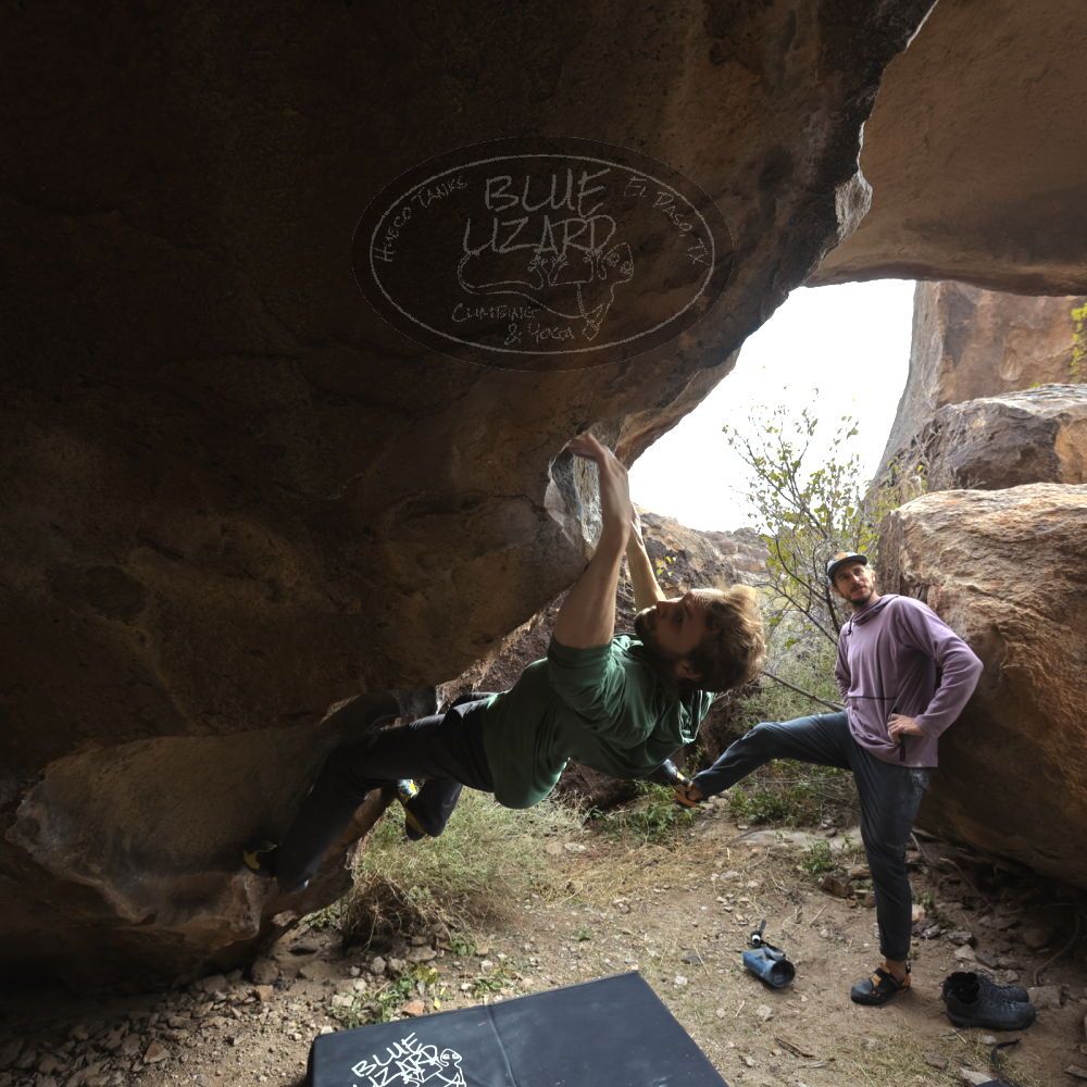 

Filename: SRM_20221204_1218370.jpg
Aperture: f/5.6
Shutter Speed: 1/400
Body: Canon EOS R6
Lens: Canon EF 16-35mm f/2.8 L