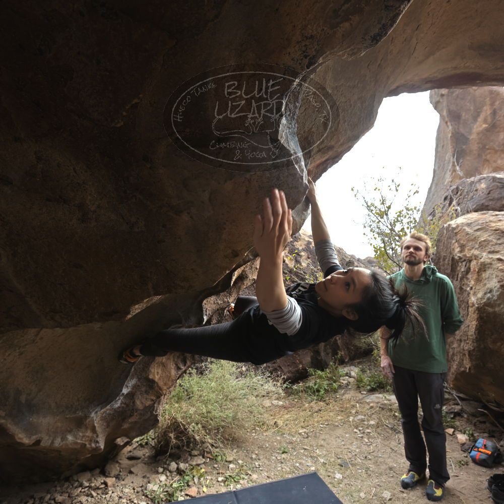 Filename: SRM_20221204_1222340.jpg
Aperture: f/5.6
Shutter Speed: 1/400
Body: Canon EOS R6
Lens: Canon EF 16-35mm f/2.8 L