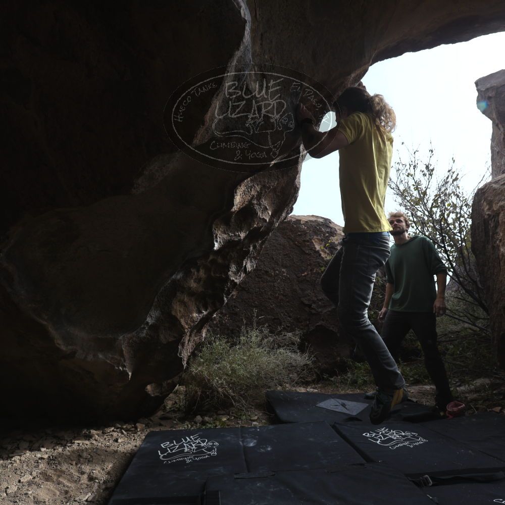 Filename: SRM_20221204_1251560.jpg
Aperture: f/8.0
Shutter Speed: 1/400
Body: Canon EOS R6
Lens: Canon EF 16-35mm f/2.8 L