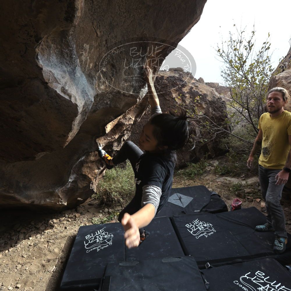 

Filename: SRM_20221204_1254061.jpg
Aperture: f/8.0
Shutter Speed: 1/400
Body: Canon EOS R6
Lens: Canon EF 16-35mm f/2.8 L