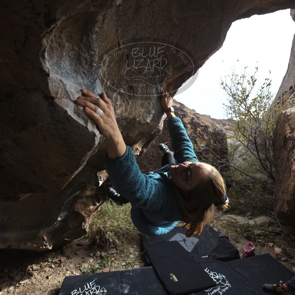 Filename: SRM_20221204_1256372.jpg
Aperture: f/8.0
Shutter Speed: 1/400
Body: Canon EOS R6
Lens: Canon EF 16-35mm f/2.8 L