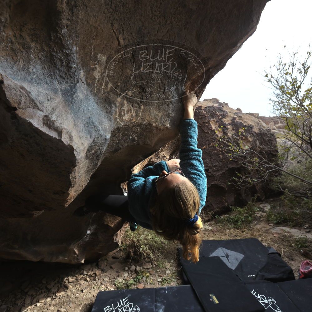 Filename: SRM_20221204_1257300.jpg
Aperture: f/8.0
Shutter Speed: 1/400
Body: Canon EOS R6
Lens: Canon EF 16-35mm f/2.8 L