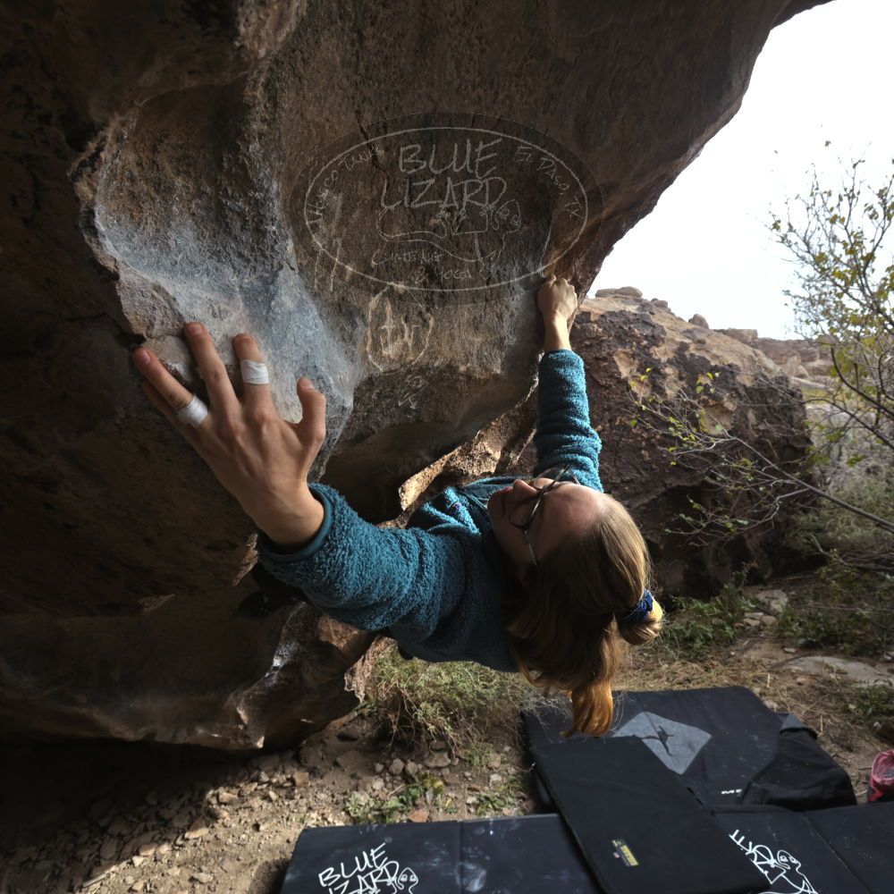 Filename: SRM_20221204_1257320.jpg
Aperture: f/8.0
Shutter Speed: 1/400
Body: Canon EOS R6
Lens: Canon EF 16-35mm f/2.8 L