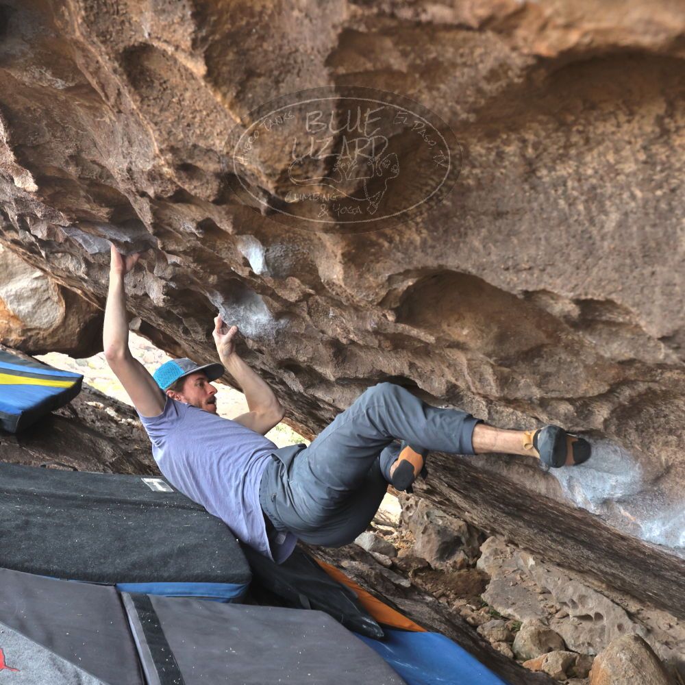 Filename: SRM_20221204_1410160.jpg
Aperture: f/5.6
Shutter Speed: 1/400
Body: Canon EOS R6
Lens: Canon EF 16-35mm f/2.8 L