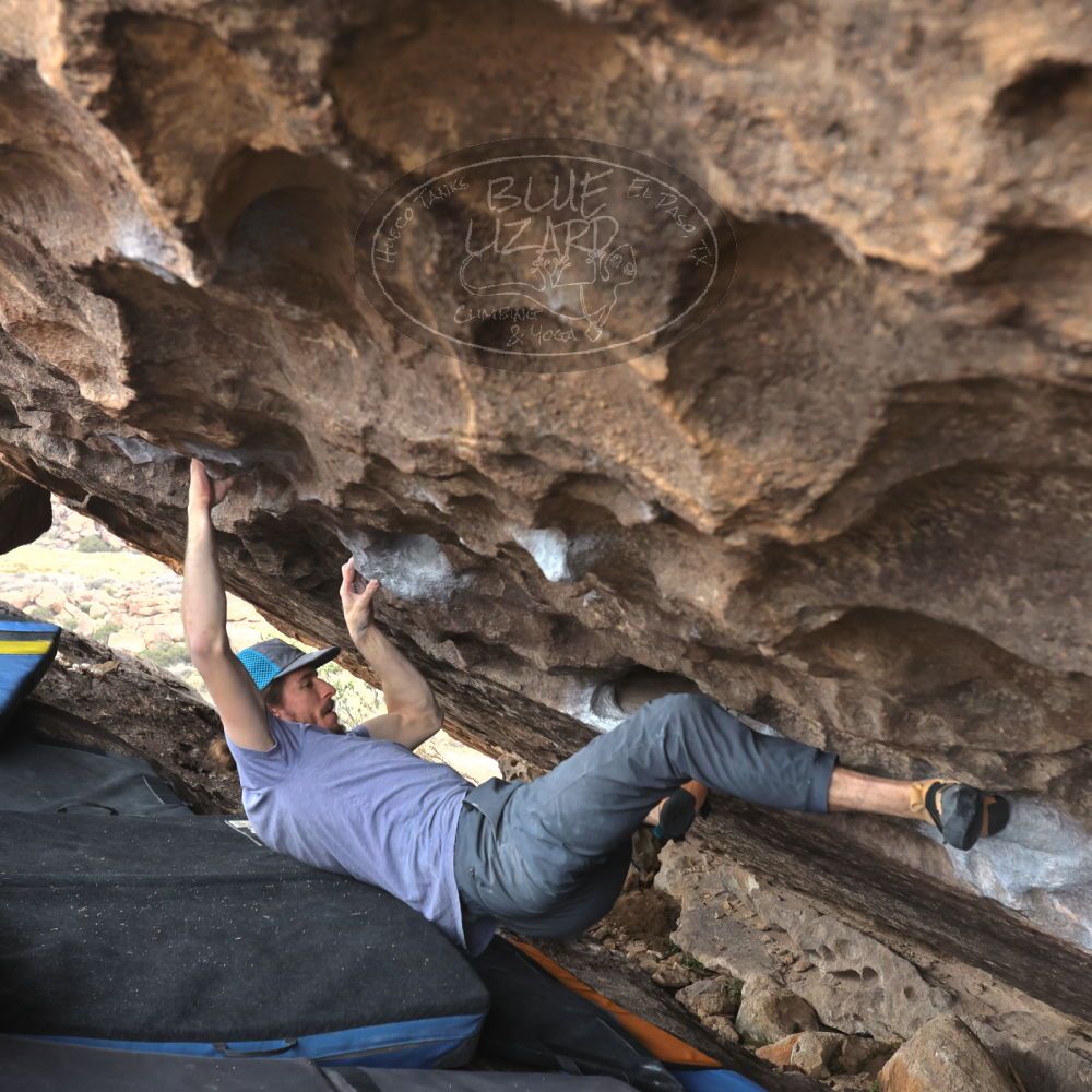 

Filename: SRM_20221204_1418330.jpg
Aperture: f/5.6
Shutter Speed: 1/400
Body: Canon EOS R6
Lens: Canon EF 16-35mm f/2.8 L