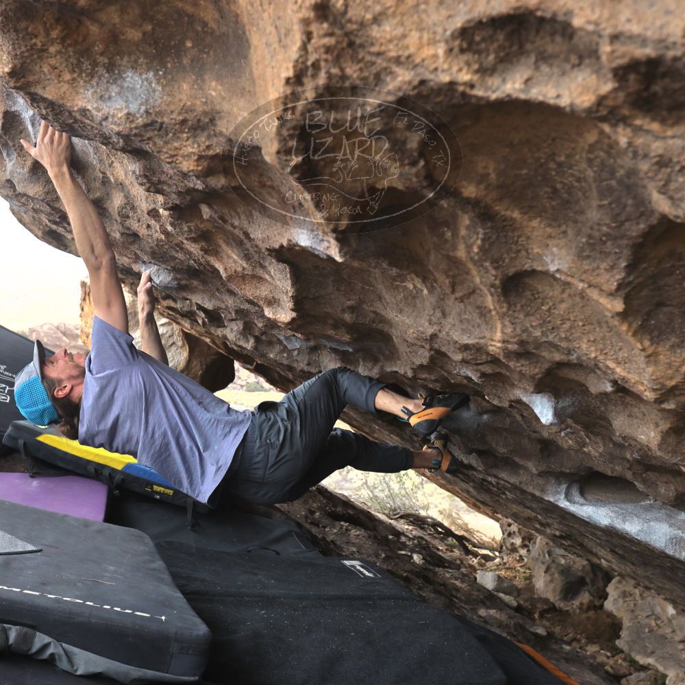 

Filename: SRM_20221204_1418470.jpg
Aperture: f/5.6
Shutter Speed: 1/400
Body: Canon EOS R6
Lens: Canon EF 16-35mm f/2.8 L