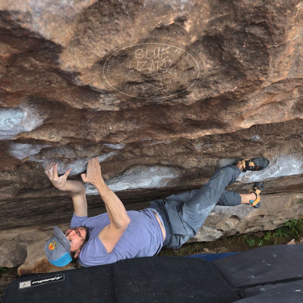 Filename: SRM_20221204_1432150.jpg
Aperture: f/5.6
Shutter Speed: 1/400
Body: Canon EOS R6
Lens: Canon EF 16-35mm f/2.8 L