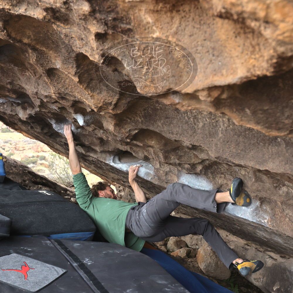 

Filename: SRM_20221204_1436380.jpg
Aperture: f/5.6
Shutter Speed: 1/400
Body: Canon EOS R6
Lens: Canon EF 16-35mm f/2.8 L