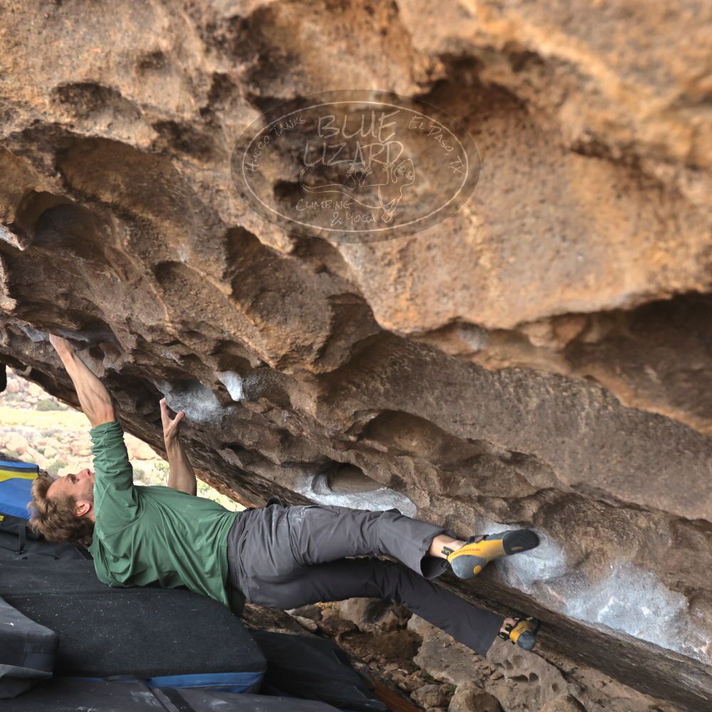 

Filename: SRM_20221204_1437580.jpg
Aperture: f/5.6
Shutter Speed: 1/400
Body: Canon EOS R6
Lens: Canon EF 16-35mm f/2.8 L