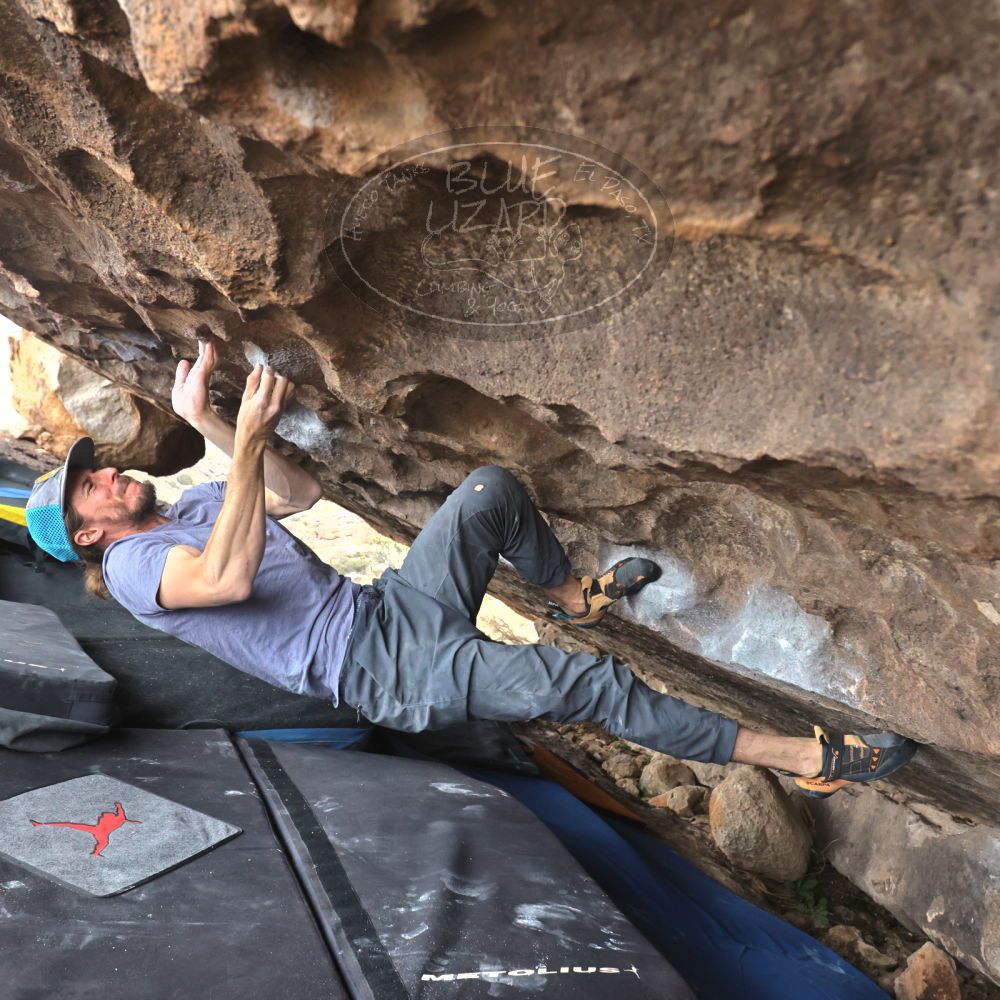 Filename: SRM_20221204_1446570.jpg
Aperture: f/5.6
Shutter Speed: 1/400
Body: Canon EOS R6
Lens: Canon EF 16-35mm f/2.8 L