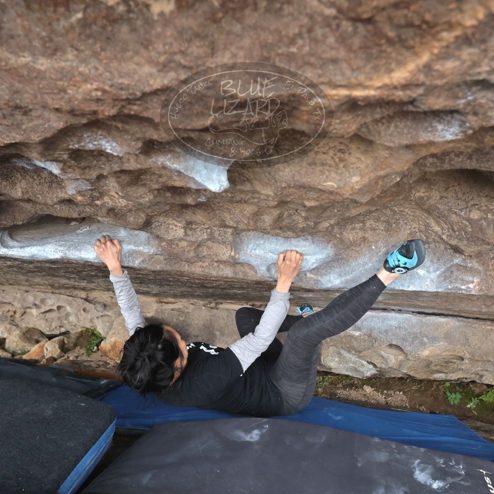 

Filename: SRM_20221204_1458270.jpg
Aperture: f/5.6
Shutter Speed: 1/400
Body: Canon EOS R6
Lens: Canon EF 16-35mm f/2.8 L