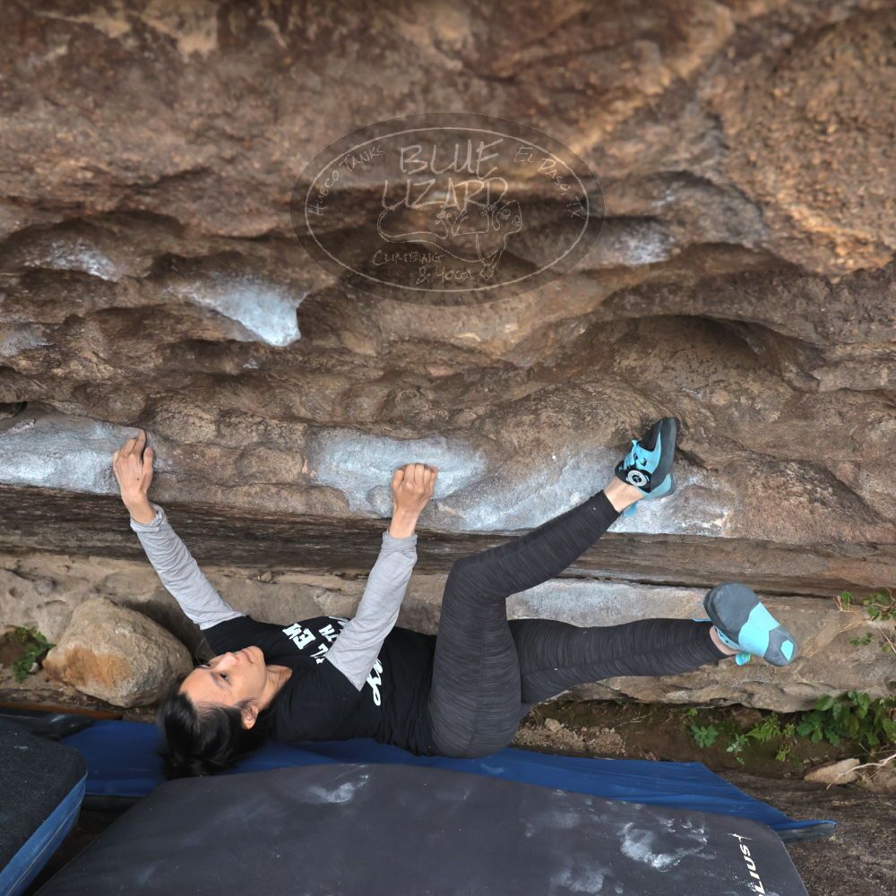 

Filename: SRM_20221204_1458591.jpg
Aperture: f/5.6
Shutter Speed: 1/400
Body: Canon EOS R6
Lens: Canon EF 16-35mm f/2.8 L