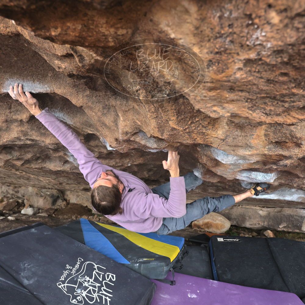 

Filename: SRM_20221204_1512590.jpg
Aperture: f/5.6
Shutter Speed: 1/400
Body: Canon EOS R6
Lens: Canon EF 16-35mm f/2.8 L