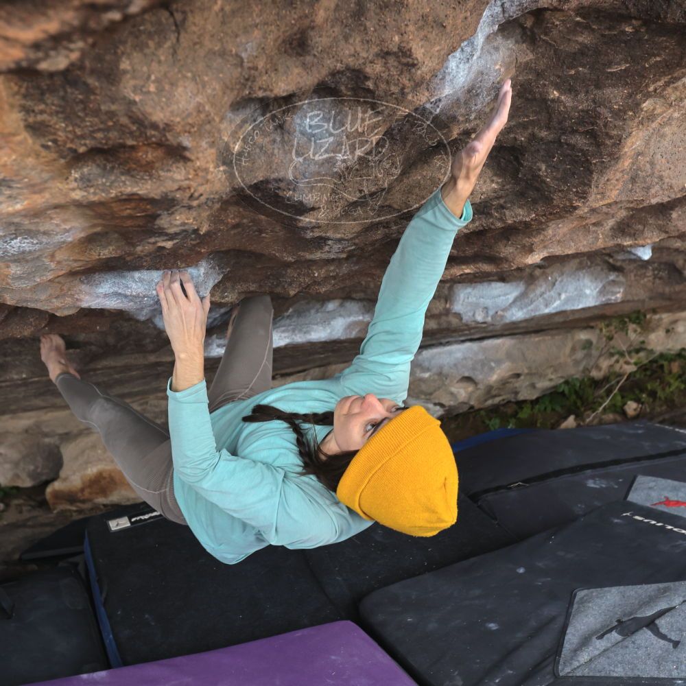 

Filename: SRM_20221204_1518050.jpg
Aperture: f/5.6
Shutter Speed: 1/400
Body: Canon EOS R6
Lens: Canon EF 16-35mm f/2.8 L