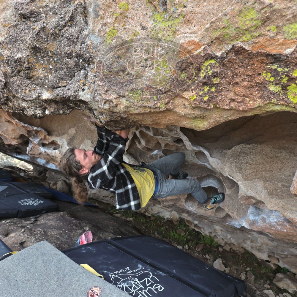 Filename: SRM_20221204_1526490.jpg
Aperture: f/5.6
Shutter Speed: 1/400
Body: Canon EOS R6
Lens: Canon EF 16-35mm f/2.8 L