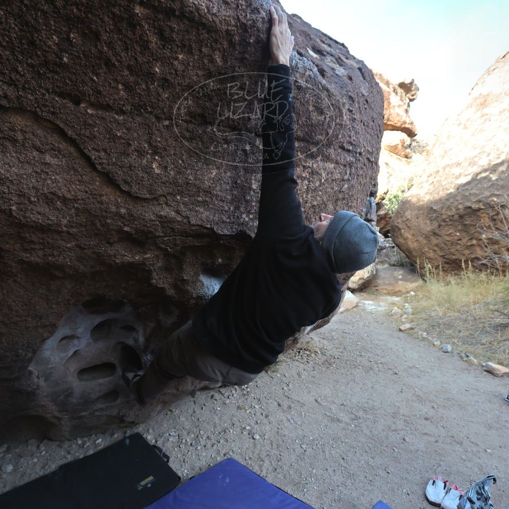 

Filename: SRM_20221216_0929410.jpg
Aperture: f/5.6
Shutter Speed: 1/400
Body: Canon EOS R6
Lens: Canon EF 16-35mm f/2.8 L