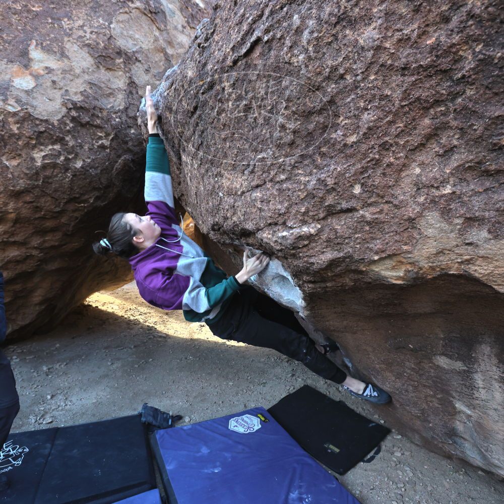 

Filename: SRM_20221216_0940270.jpg
Aperture: f/5.6
Shutter Speed: 1/400
Body: Canon EOS R6
Lens: Canon EF 16-35mm f/2.8 L