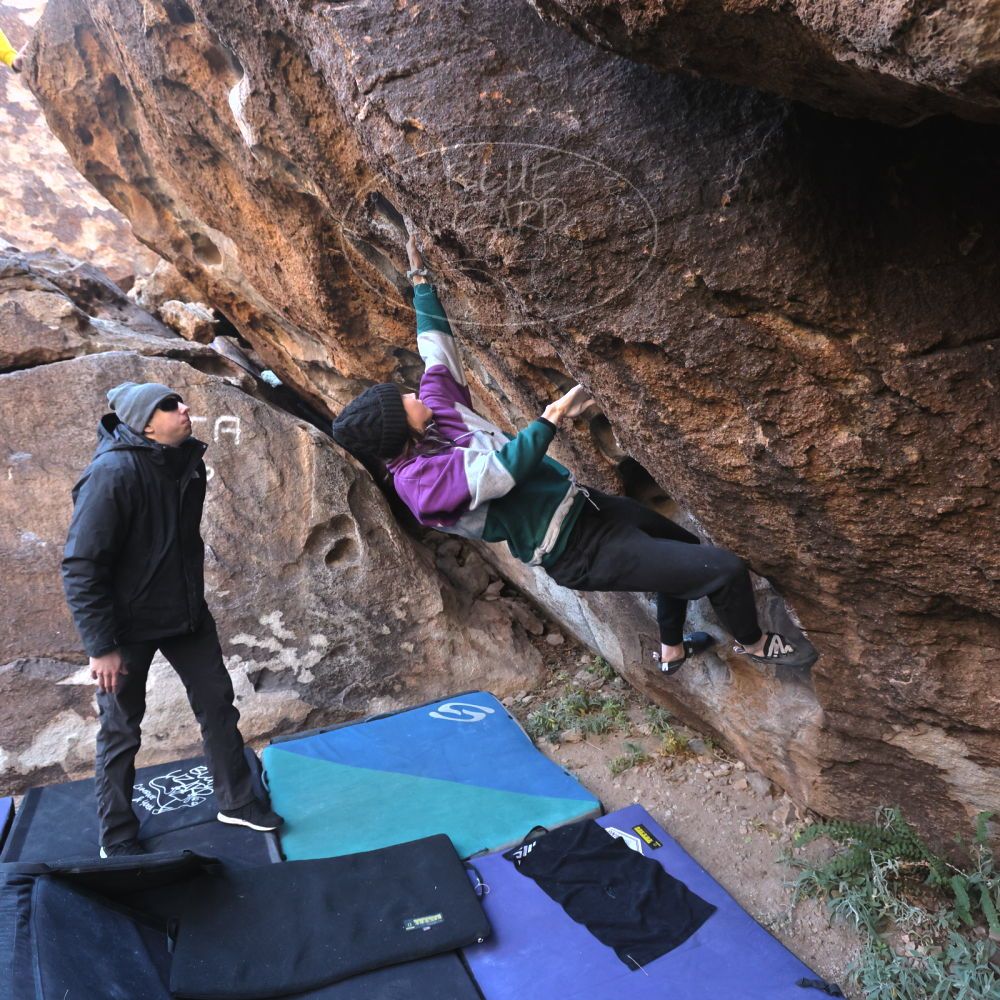 

Filename: SRM_20221216_0952440.jpg
Aperture: f/5.6
Shutter Speed: 1/400
Body: Canon EOS R6
Lens: Canon EF 16-35mm f/2.8 L