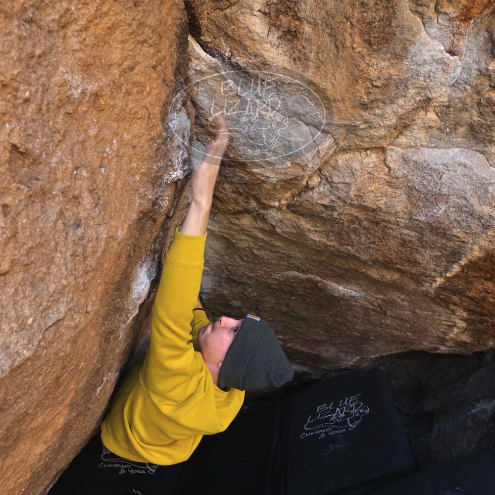 

Filename: SRM_20221216_1000050.jpg
Aperture: f/5.6
Shutter Speed: 1/400
Body: Canon EOS R6
Lens: Canon EF 16-35mm f/2.8 L