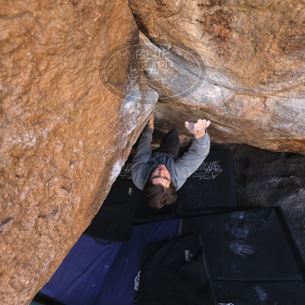 

Filename: SRM_20221216_1015001.jpg
Aperture: f/5.6
Shutter Speed: 1/400
Body: Canon EOS R6
Lens: Canon EF 16-35mm f/2.8 L