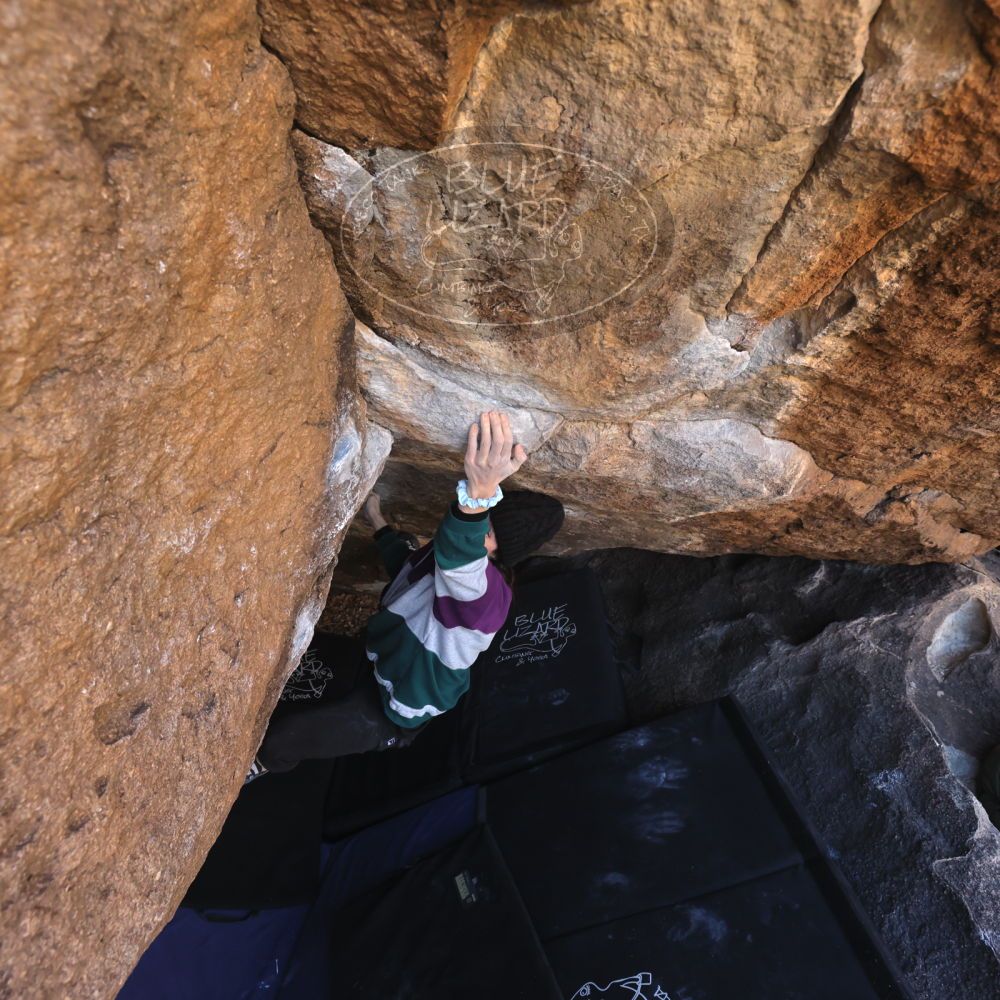 

Filename: SRM_20221216_1020000.jpg
Aperture: f/5.6
Shutter Speed: 1/400
Body: Canon EOS R6
Lens: Canon EF 16-35mm f/2.8 L