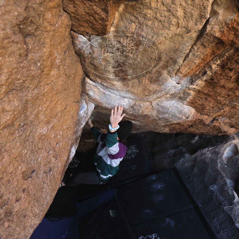 

Filename: SRM_20221216_1020010.jpg
Aperture: f/5.6
Shutter Speed: 1/400
Body: Canon EOS R6
Lens: Canon EF 16-35mm f/2.8 L