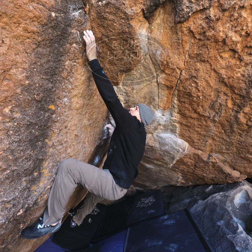 

Filename: SRM_20221216_1025520.jpg
Aperture: f/5.6
Shutter Speed: 1/400
Body: Canon EOS R6
Lens: Canon EF 16-35mm f/2.8 L