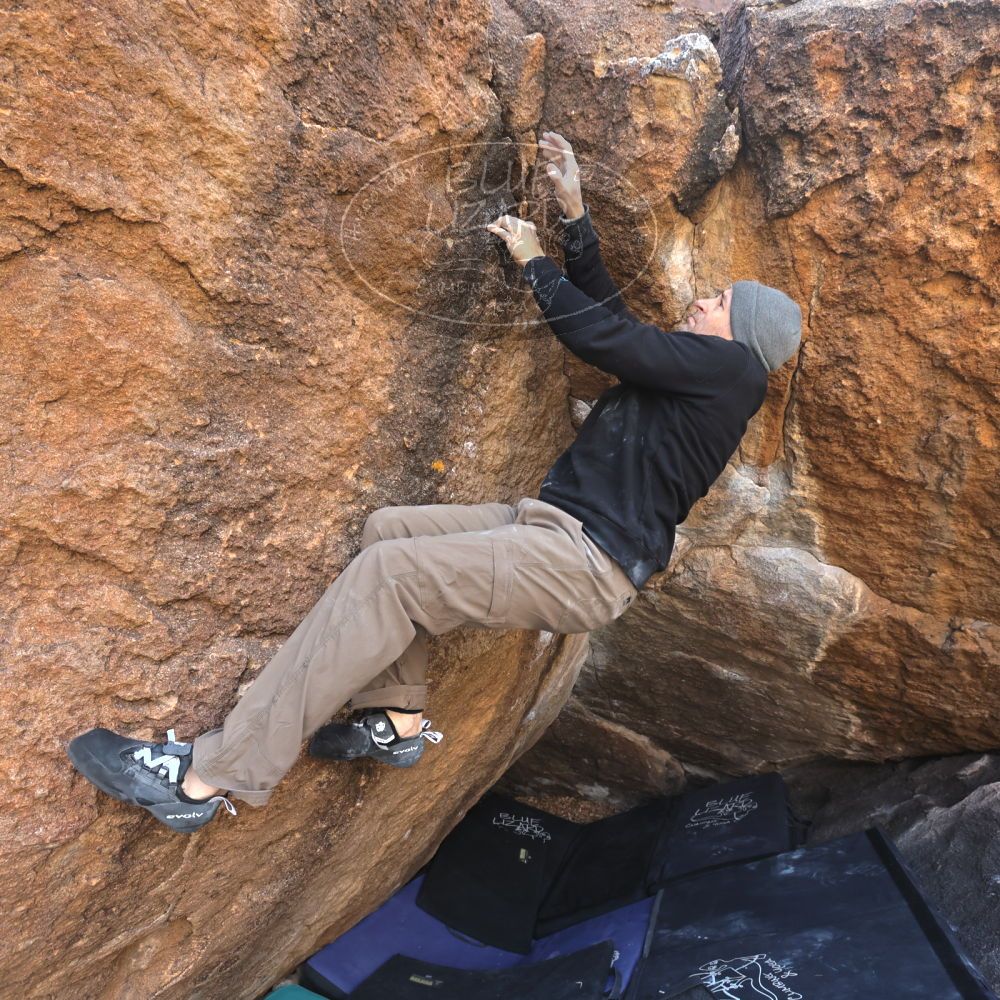 

Filename: SRM_20221216_1037050.jpg
Aperture: f/5.6
Shutter Speed: 1/400
Body: Canon EOS R6
Lens: Canon EF 16-35mm f/2.8 L