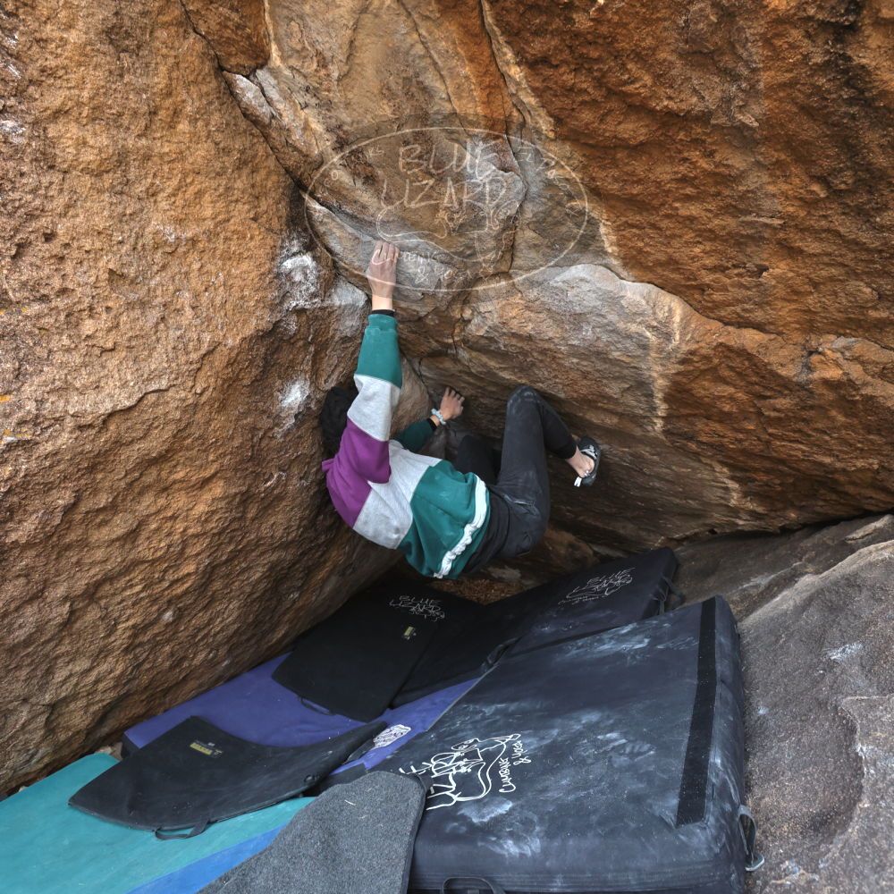 

Filename: SRM_20221216_1047220.jpg
Aperture: f/5.6
Shutter Speed: 1/400
Body: Canon EOS R6
Lens: Canon EF 16-35mm f/2.8 L