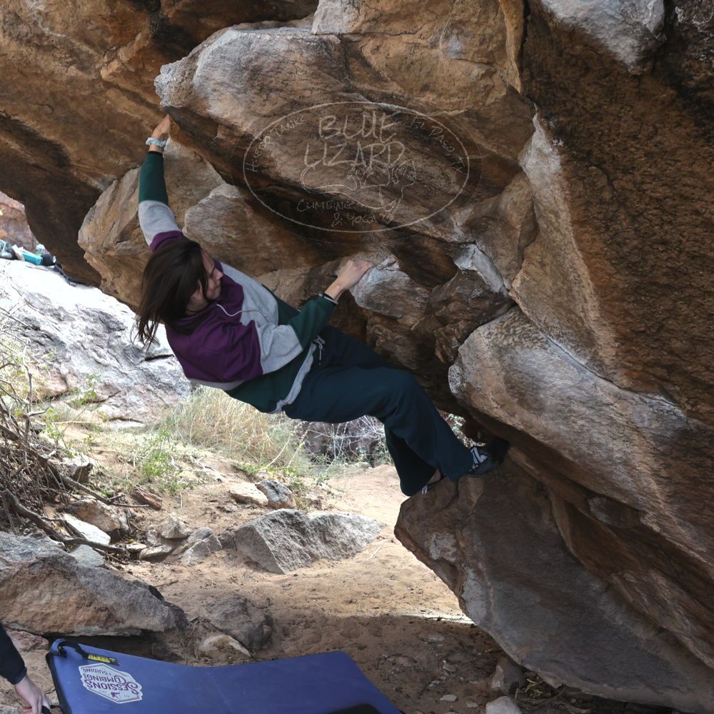 

Filename: SRM_20221216_1300430.jpg
Aperture: f/5.6
Shutter Speed: 1/400
Body: Canon EOS R6
Lens: Canon EF 16-35mm f/2.8 L