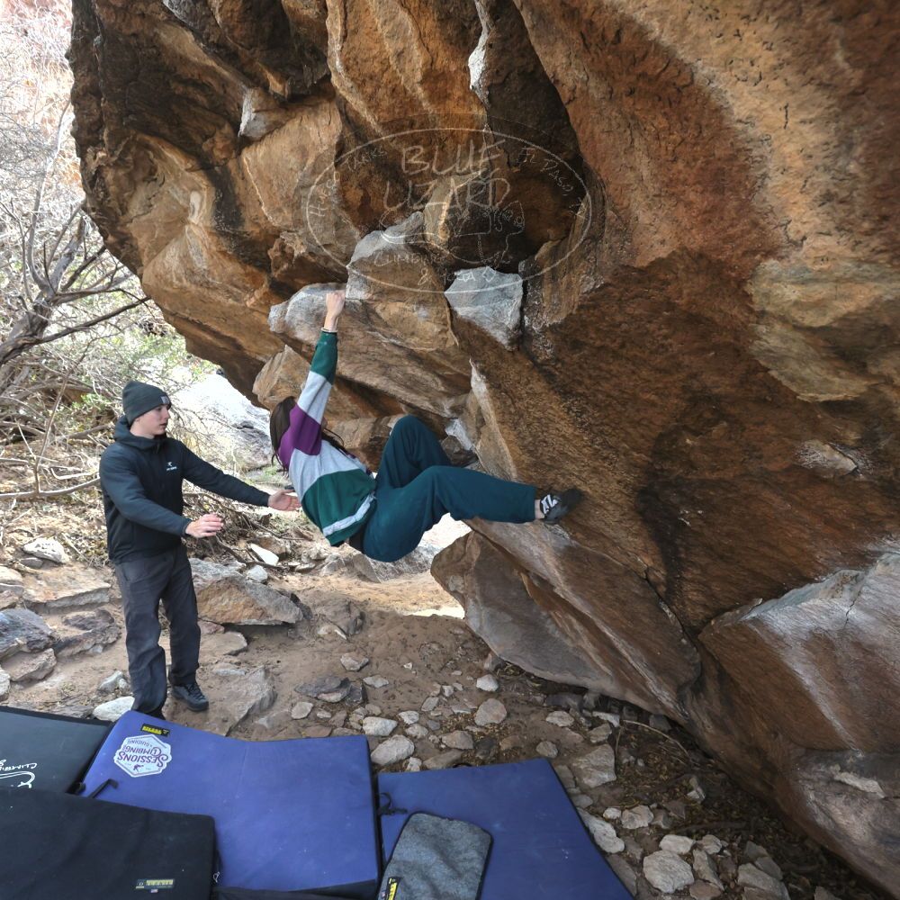 

Filename: SRM_20221216_1307400.jpg
Aperture: f/5.6
Shutter Speed: 1/400
Body: Canon EOS R6
Lens: Canon EF 16-35mm f/2.8 L