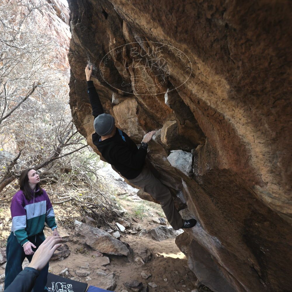 

Filename: SRM_20221216_1314111.jpg
Aperture: f/5.6
Shutter Speed: 1/400
Body: Canon EOS R6
Lens: Canon EF 16-35mm f/2.8 L