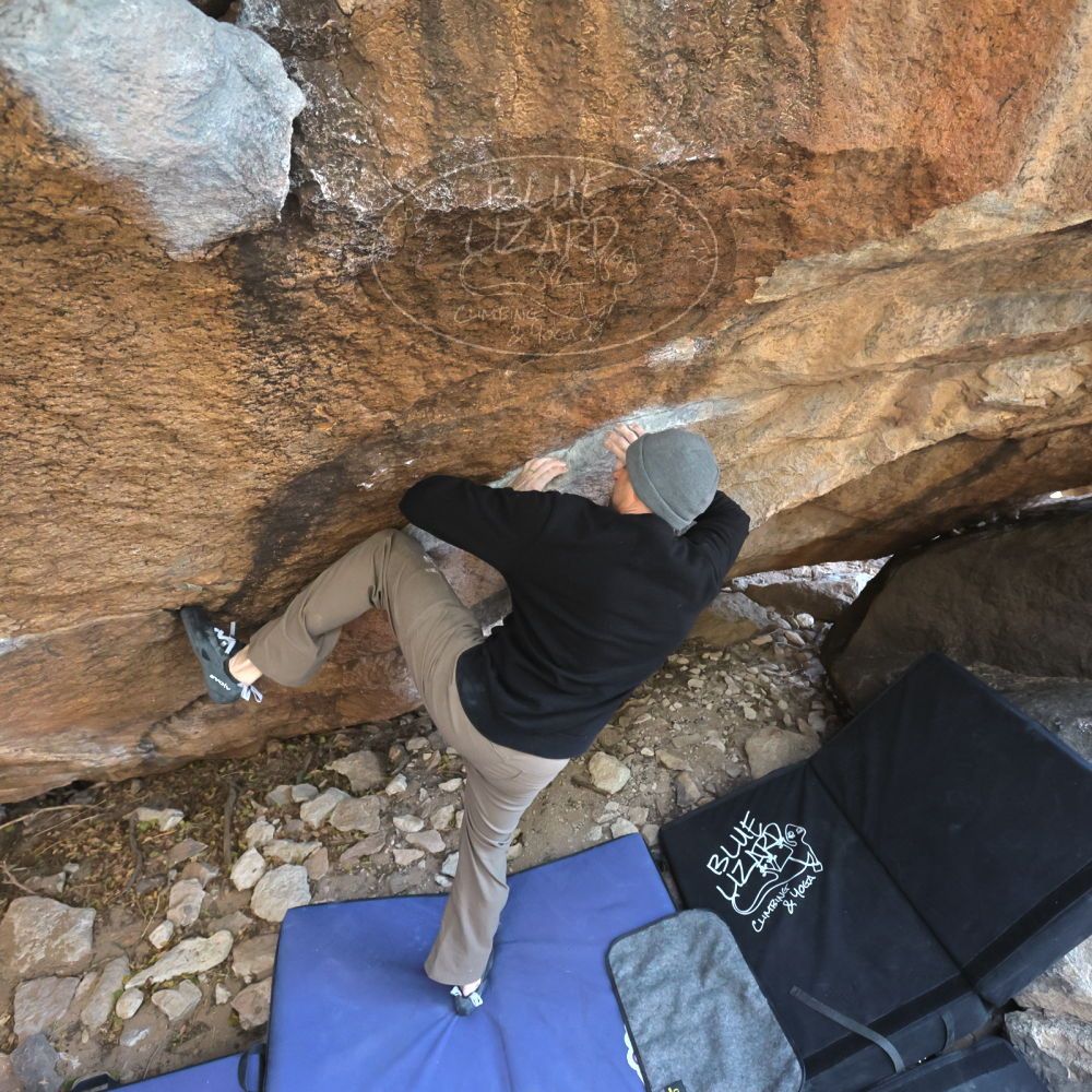 

Filename: SRM_20221216_1329060.jpg
Aperture: f/5.6
Shutter Speed: 1/400
Body: Canon EOS R6
Lens: Canon EF 16-35mm f/2.8 L