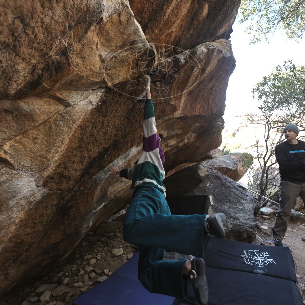 

Filename: SRM_20221216_1331283.jpg
Aperture: f/5.6
Shutter Speed: 1/400
Body: Canon EOS R6
Lens: Canon EF 16-35mm f/2.8 L