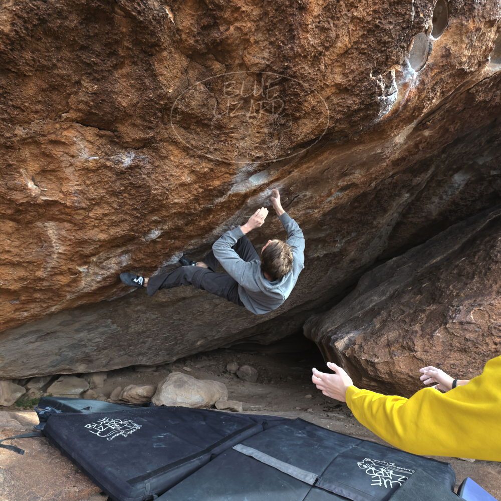 

Filename: SRM_20221216_1437360.jpg
Aperture: f/5.6
Shutter Speed: 1/400
Body: Canon EOS R6
Lens: Canon EF 16-35mm f/2.8 L