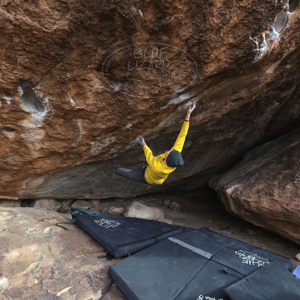 

Filename: SRM_20221216_1438541.jpg
Aperture: f/5.6
Shutter Speed: 1/400
Body: Canon EOS R6
Lens: Canon EF 16-35mm f/2.8 L