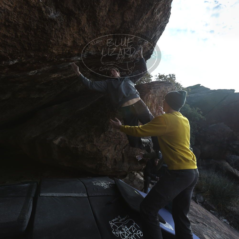 

Filename: SRM_20221216_1510265.jpg
Aperture: f/5.6
Shutter Speed: 1/400
Body: Canon EOS R6
Lens: Canon EF 16-35mm f/2.8 L