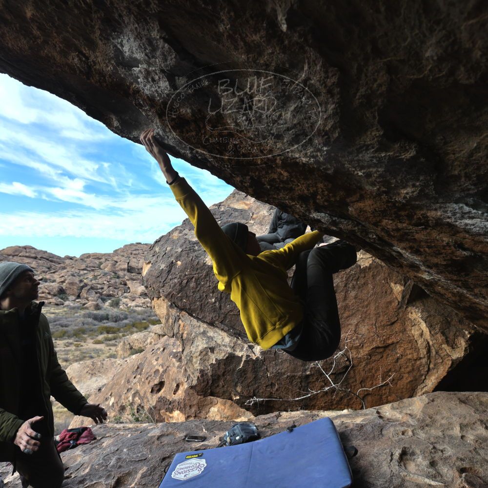 

Filename: SRM_20221216_1525180.jpg
Aperture: f/5.6
Shutter Speed: 1/400
Body: Canon EOS R6
Lens: Canon EF 16-35mm f/2.8 L