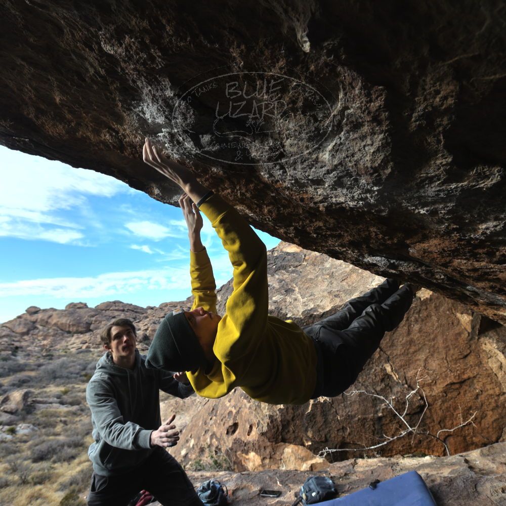 

Filename: SRM_20221216_1531040.jpg
Aperture: f/5.6
Shutter Speed: 1/400
Body: Canon EOS R6
Lens: Canon EF 16-35mm f/2.8 L