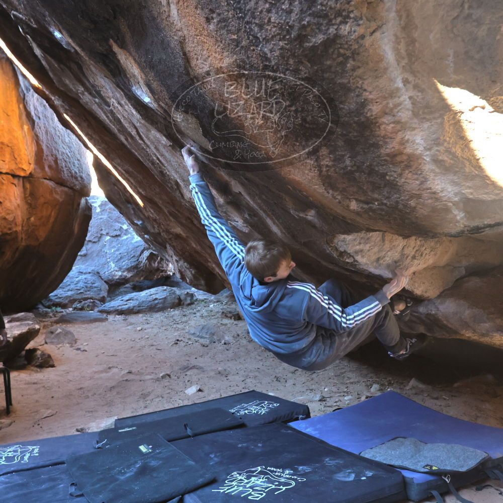 

Filename: SRM_20221217_1015160.jpg
Aperture: f/5.6
Shutter Speed: 1/400
Body: Canon EOS R6
Lens: Canon EF 16-35mm f/2.8 L