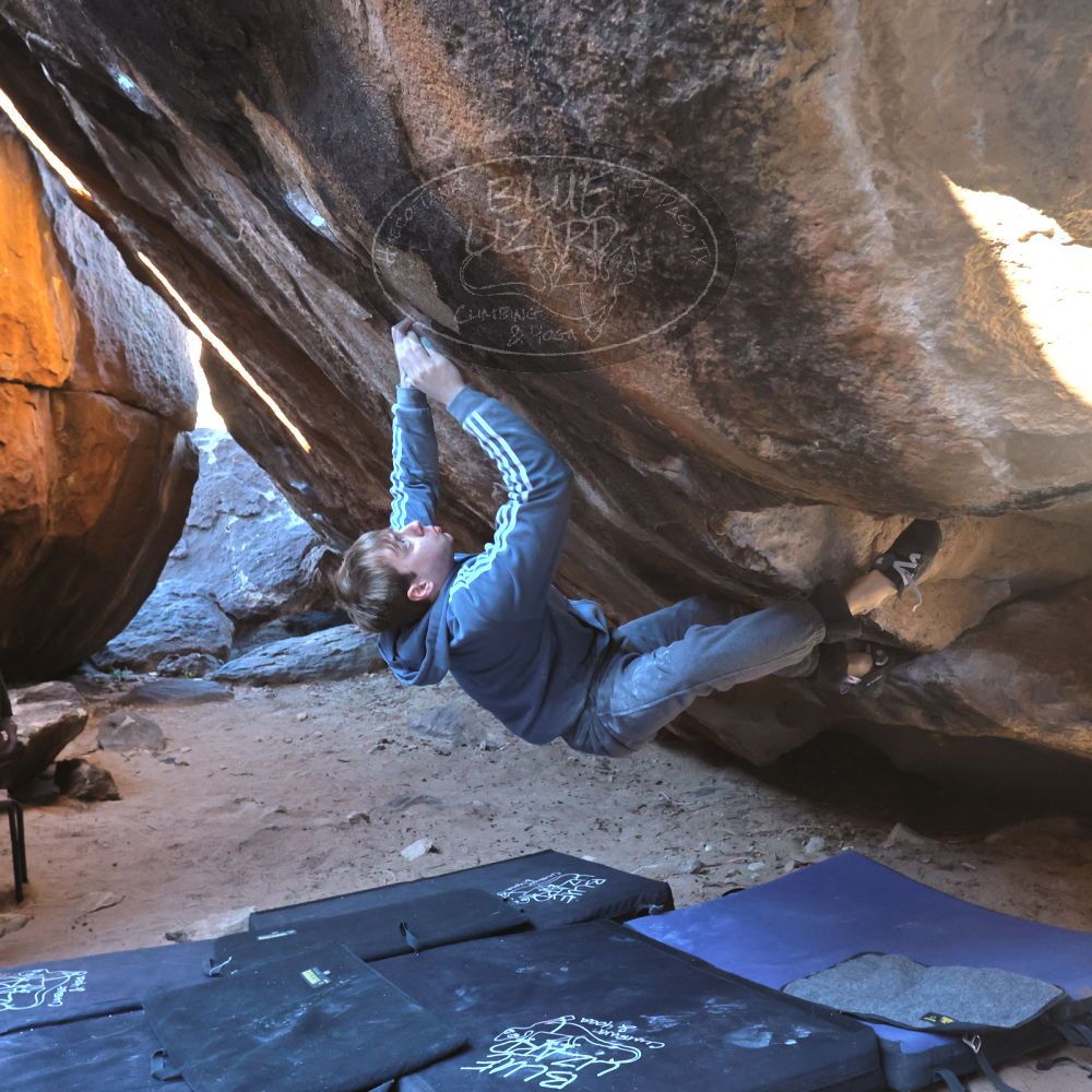 

Filename: SRM_20221217_1015180.jpg
Aperture: f/5.6
Shutter Speed: 1/400
Body: Canon EOS R6
Lens: Canon EF 16-35mm f/2.8 L