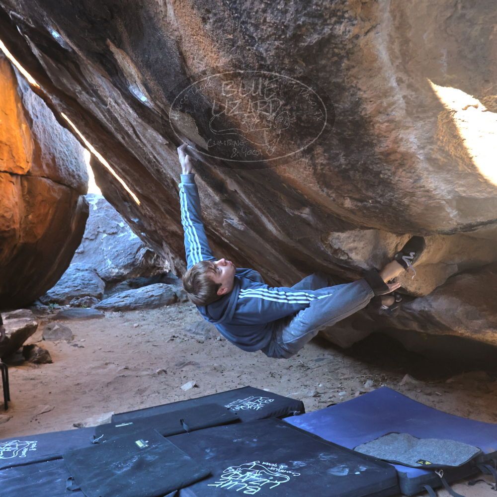 

Filename: SRM_20221217_1015181.jpg
Aperture: f/5.6
Shutter Speed: 1/400
Body: Canon EOS R6
Lens: Canon EF 16-35mm f/2.8 L