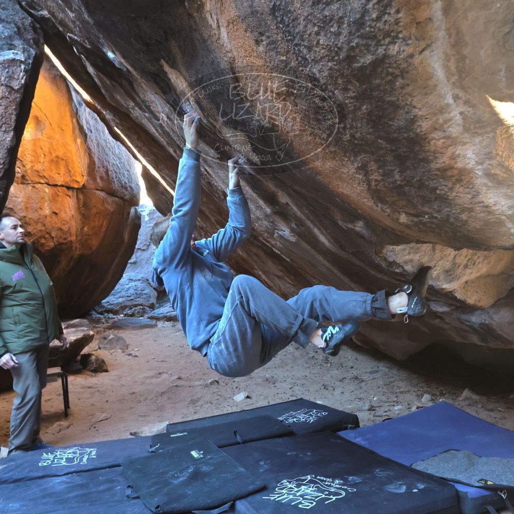 

Filename: SRM_20221217_1015220.jpg
Aperture: f/5.6
Shutter Speed: 1/400
Body: Canon EOS R6
Lens: Canon EF 16-35mm f/2.8 L