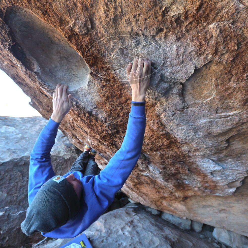 

Filename: SRM_20221217_1059270.jpg
Aperture: f/5.6
Shutter Speed: 1/400
Body: Canon EOS R6
Lens: Canon EF 16-35mm f/2.8 L